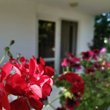 Casa de hóspedes дъбрава