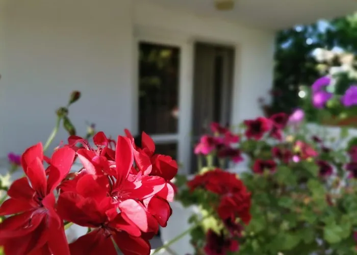 Vendégház дъбрава